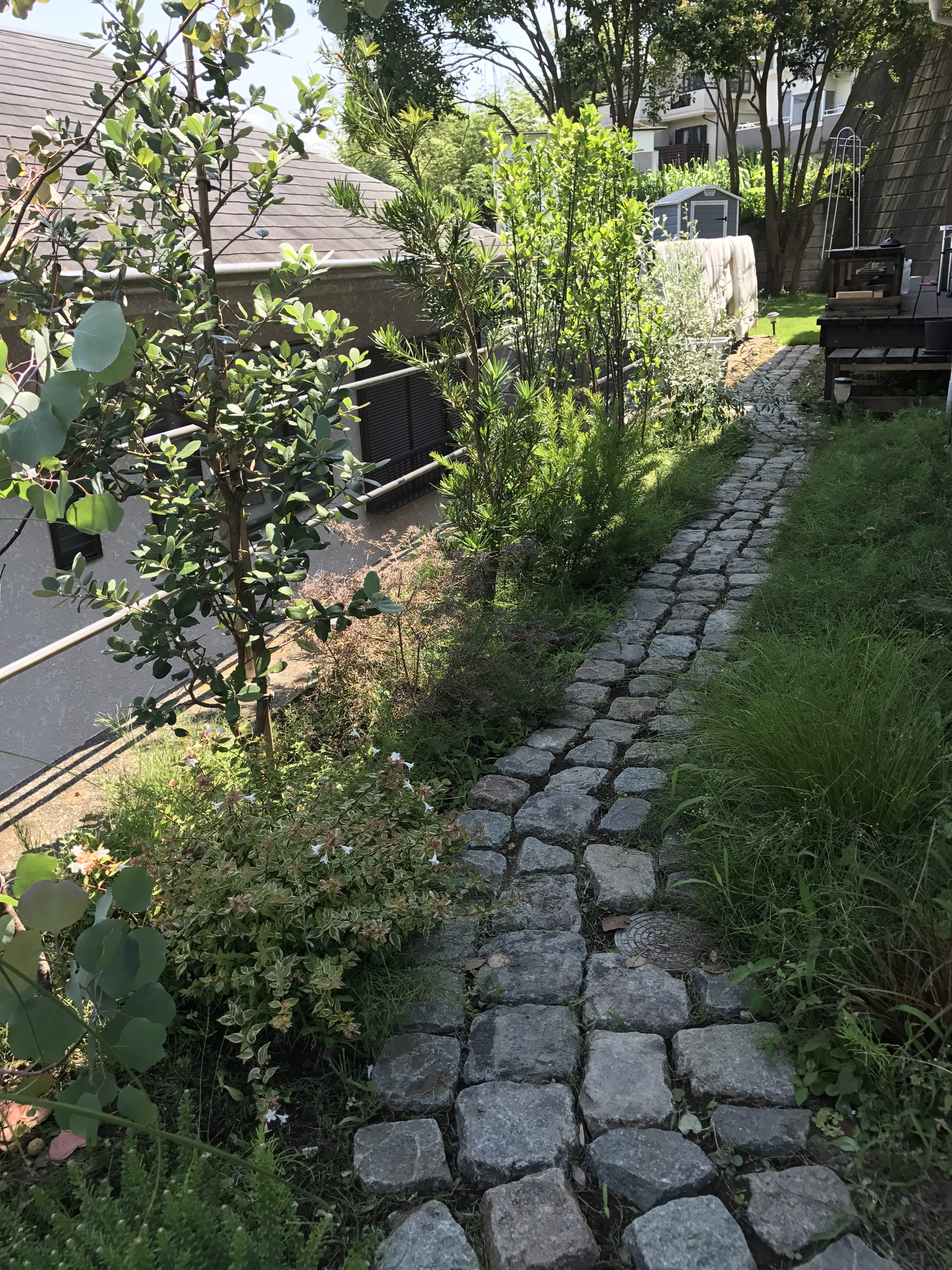 裏庭への園路も楽しい