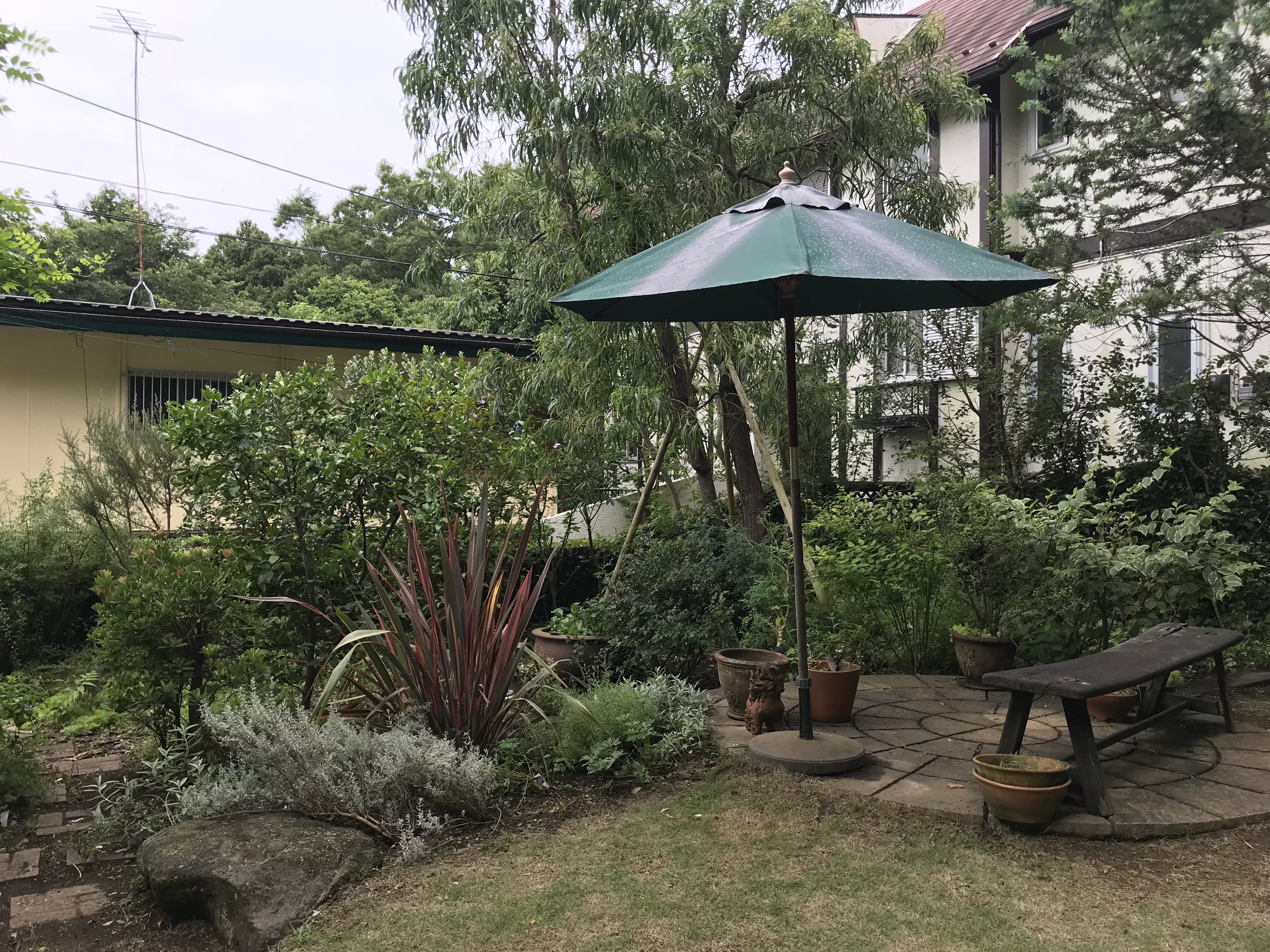 良い庭になってきました
