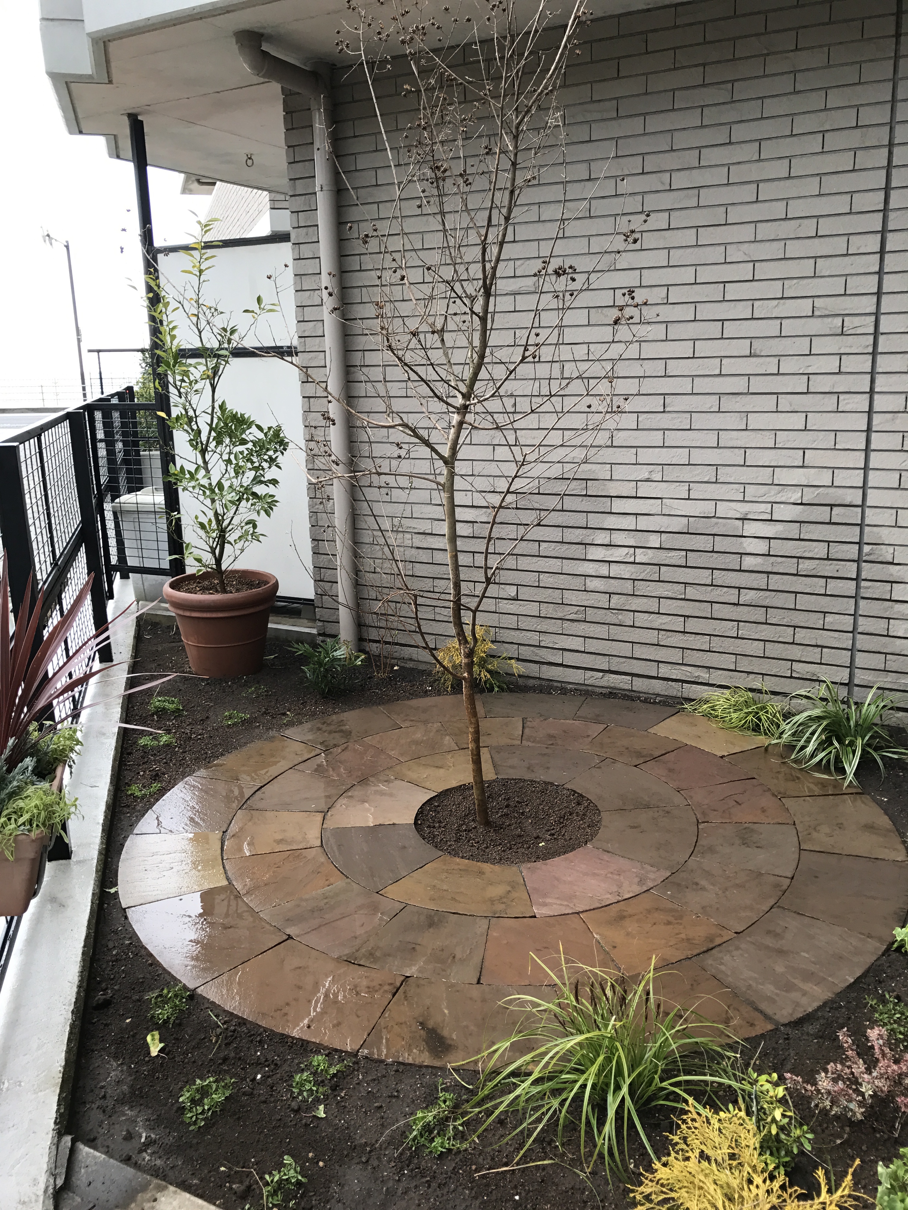 小さなベランダガーデン　中々良いです