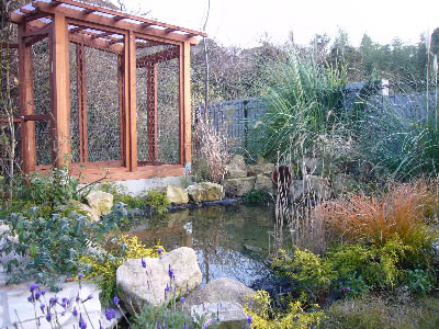 三崎　鶏小屋と池　ビオトープです
